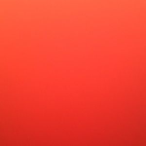 Meet your Posher, Mia